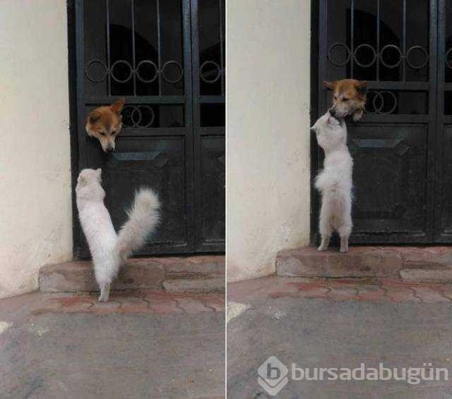 Günü en çok paylaşılan fotoğrafları