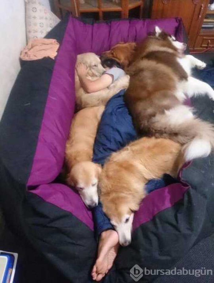 Günü en çok paylaşılan fotoğrafları