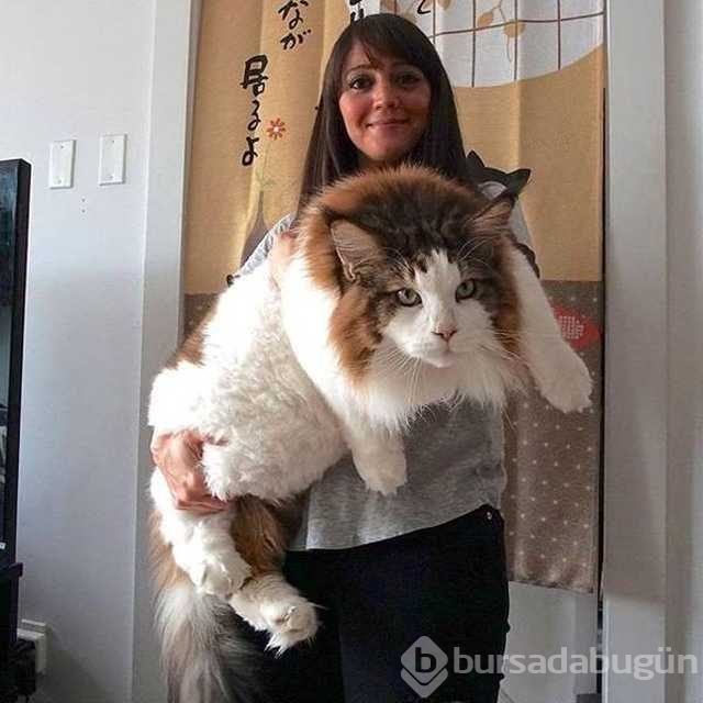 Günü en çok paylaşılan fotoğrafları
