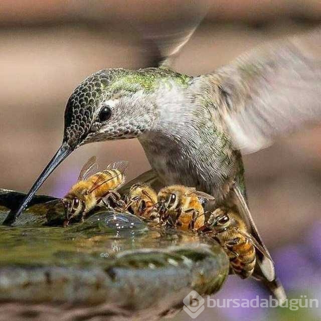 Günü en çok paylaşılan fotoğrafları