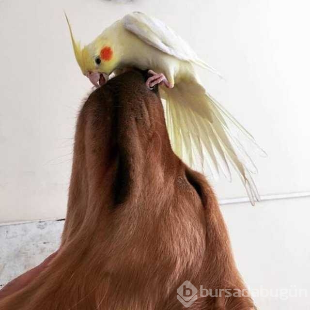 Günü en çok paylaşılan fotoğrafları