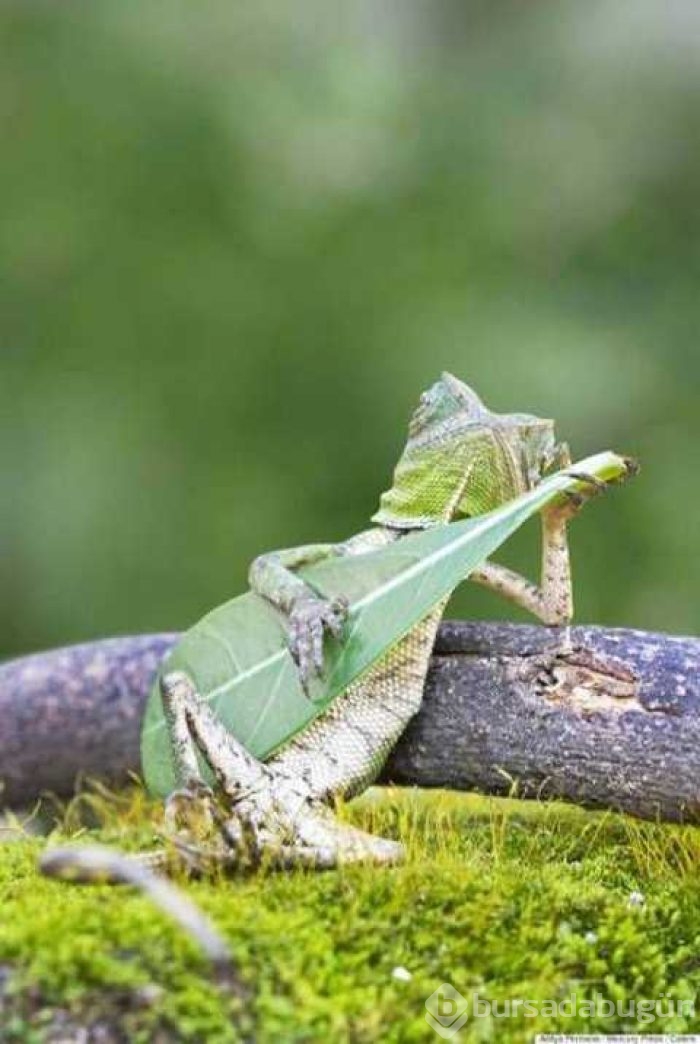 Günü en çok paylaşılan fotoğrafları