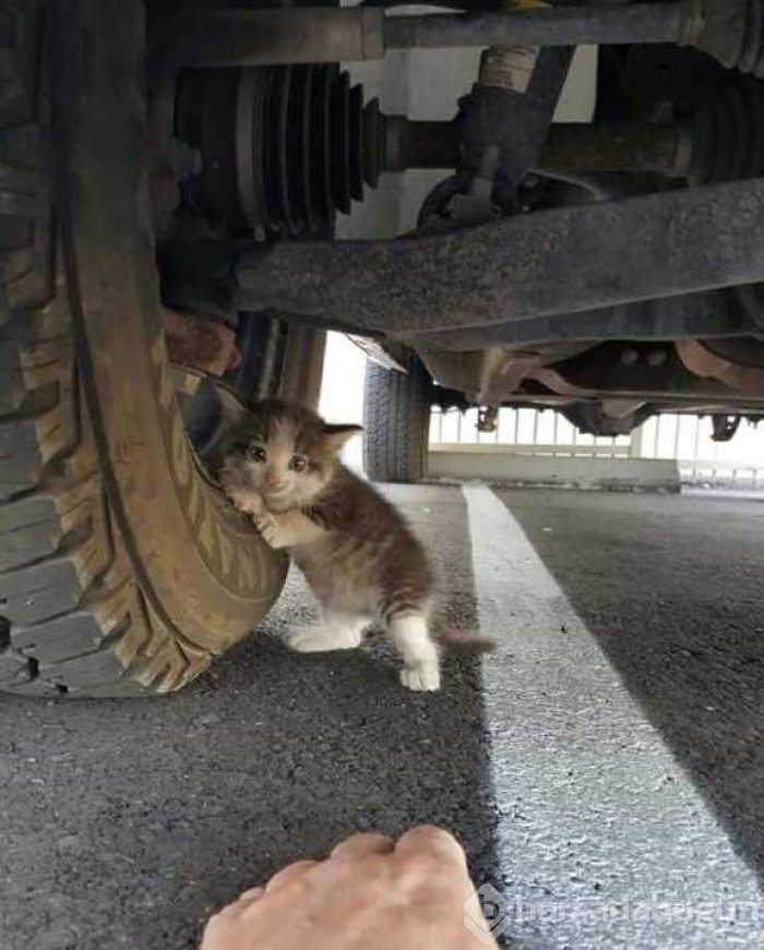 Günü en çok paylaşılan fotoğrafları