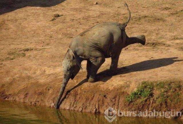 Günü en çok paylaşılan fotoğrafları