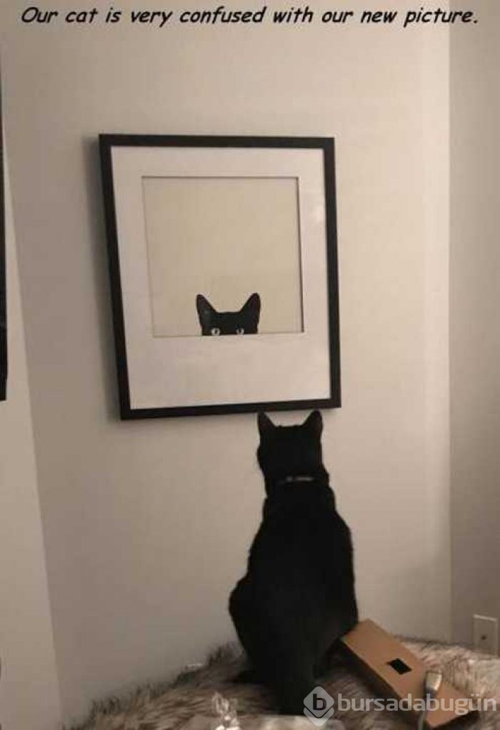 Günü en çok paylaşılan fotoğrafları