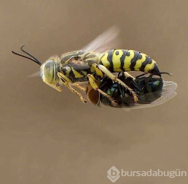 Günü en çok paylaşılan fotoğrafları