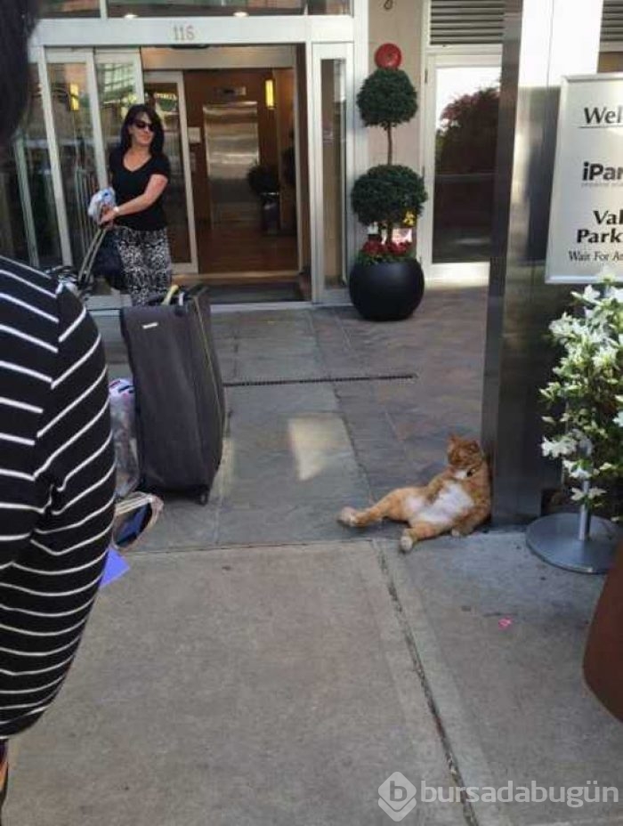 Günü en çok paylaşılan fotoğrafları