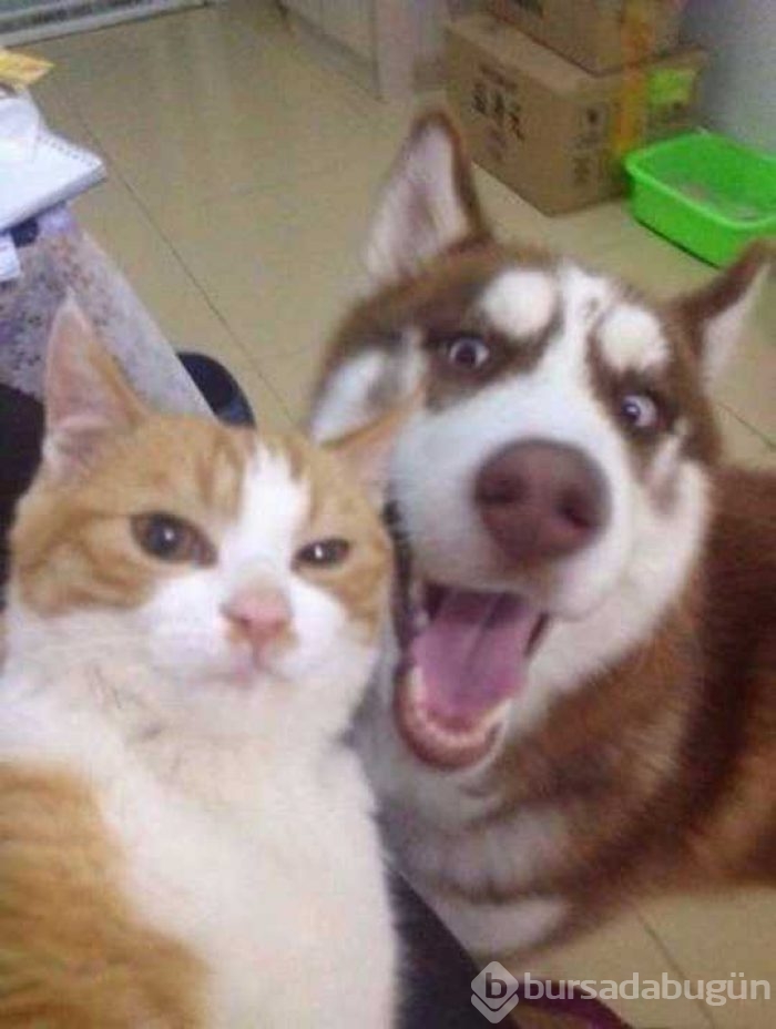 Günü en çok paylaşılan fotoğrafları