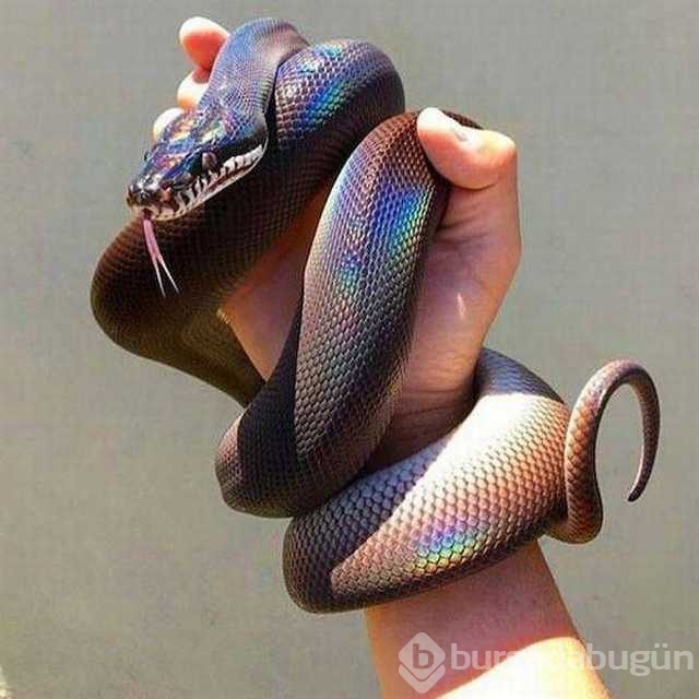 Günü en çok paylaşılan fotoğrafları