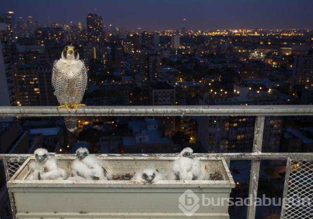 Günü en çok paylaşılan fotoğrafları