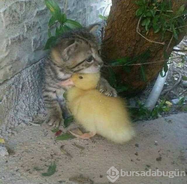 Günü en çok paylaşılan fotoğrafları