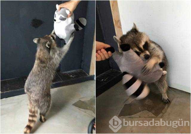 Günü en çok paylaşılan fotoğrafları