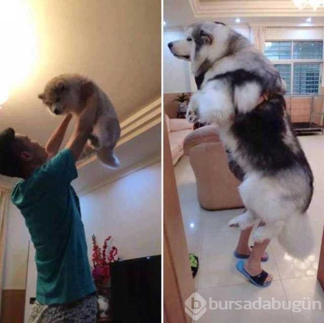 Günü en çok paylaşılan fotoğrafları