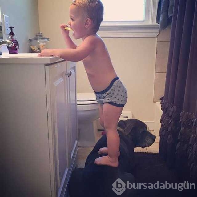 Günü en çok paylaşılan fotoğrafları