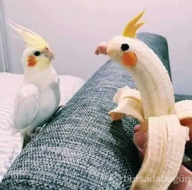 Günü en çok paylaşılan fotoğrafları