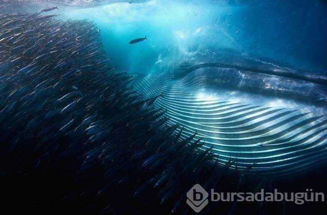Günü en çok paylaşılan fotoğrafları
