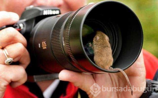 Günü en çok paylaşılan fotoğrafları