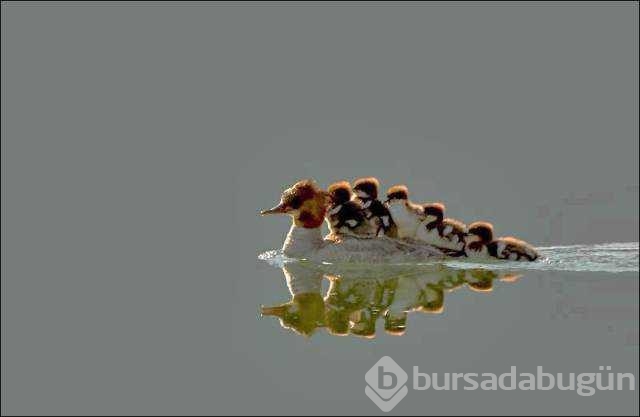 Günü en çok paylaşılan fotoğrafları