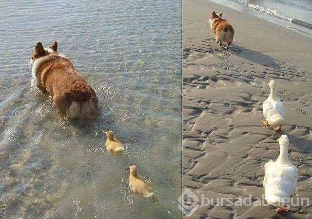 Günü en çok paylaşılan fotoğrafları