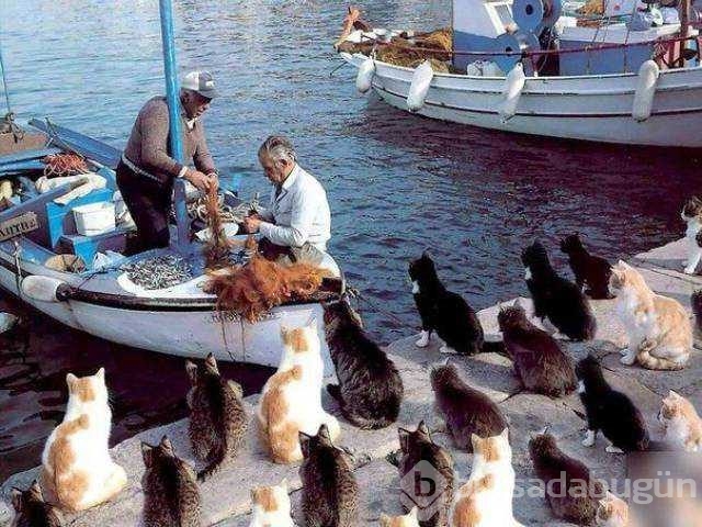 Günü en çok paylaşılan fotoğrafları