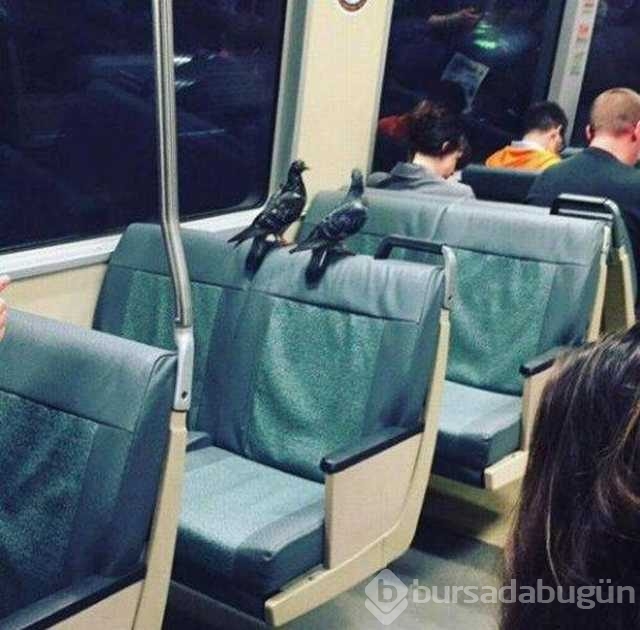 Günü en çok paylaşılan fotoğrafları