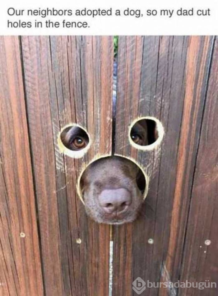 Günü en çok paylaşılan fotoğrafları
