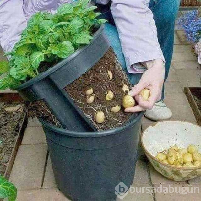 Günü en çok paylaşılan fotoğrafları