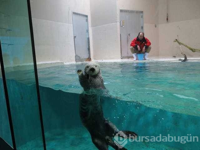Günü en çok paylaşılan fotoğrafları