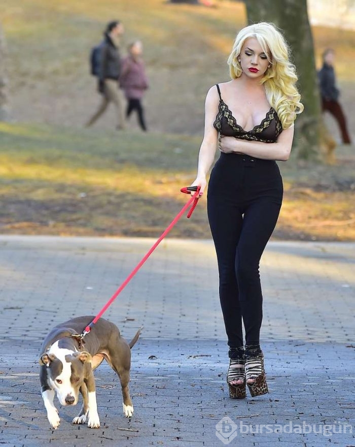 Ünlü yıldız bu halde köpek gezdirdi!