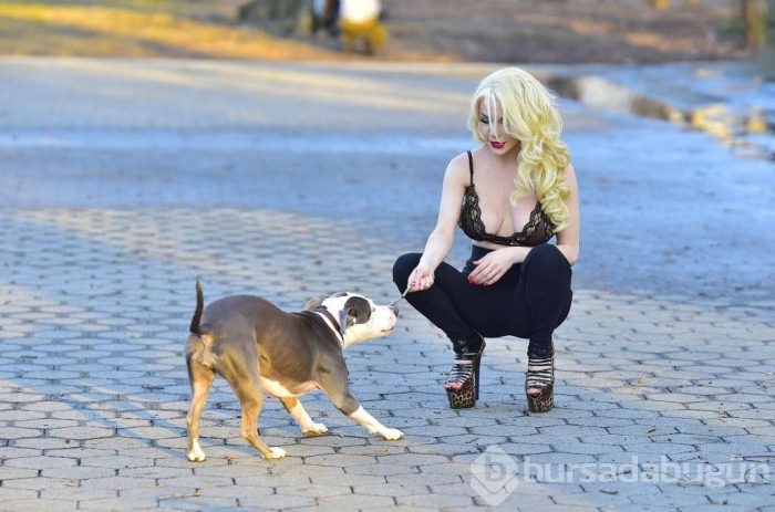 Ünlü yıldız bu halde köpek gezdirdi!