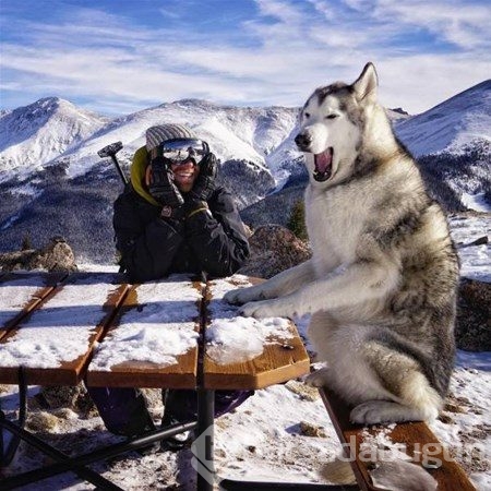 Bu fotoğraflarda photoshop yok!
