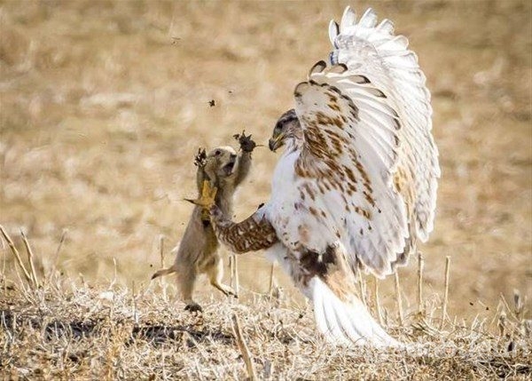 Bu fotoğraflarda photoshop yok!