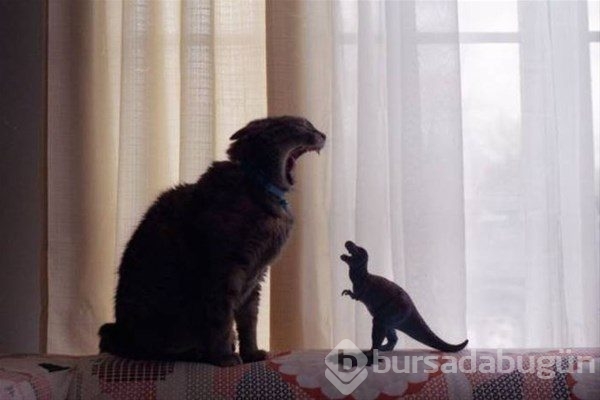 Bu fotoğraflarda photoshop yok!