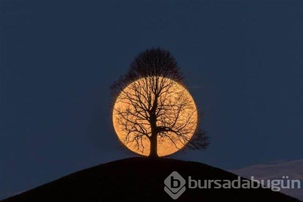 Bu fotoğraflarda photoshop yok!