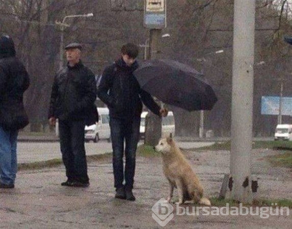 Bu fotoğraflarda photoshop yok!