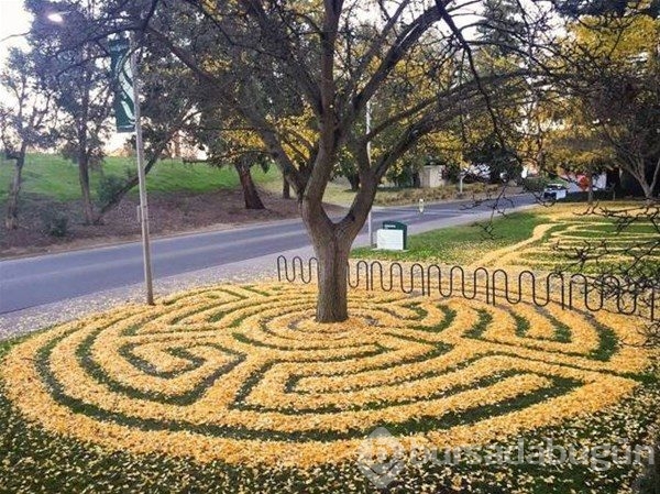 Bu fotoğraflarda photoshop yok!