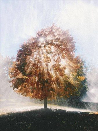 Bu fotoğraflarda photoshop yok!