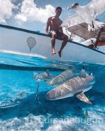 Bu fotoğraflarda photoshop yok!