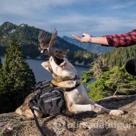 Bu fotoğraflarda photoshop yok!