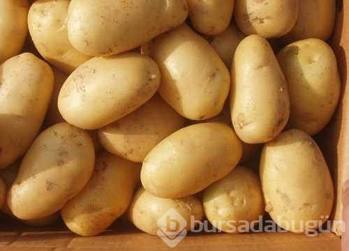 Patates suyunun mucizevi faydaları! 