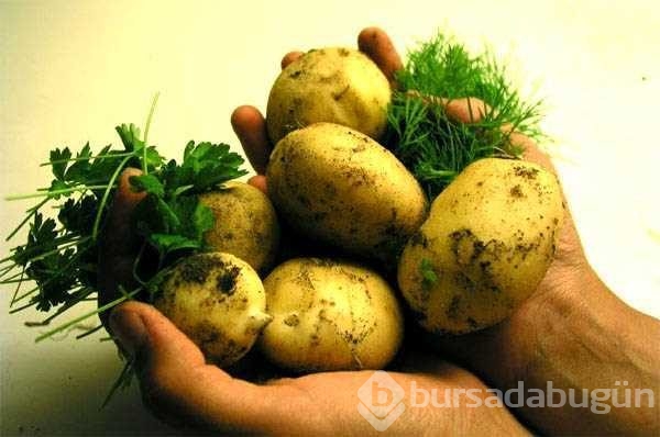 Patates suyunun mucizevi faydaları! 