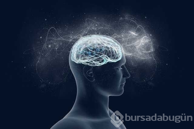 Sağ yumruğu 90 saniye sıkmak öğrenmeyi kolaylaştırıyor!