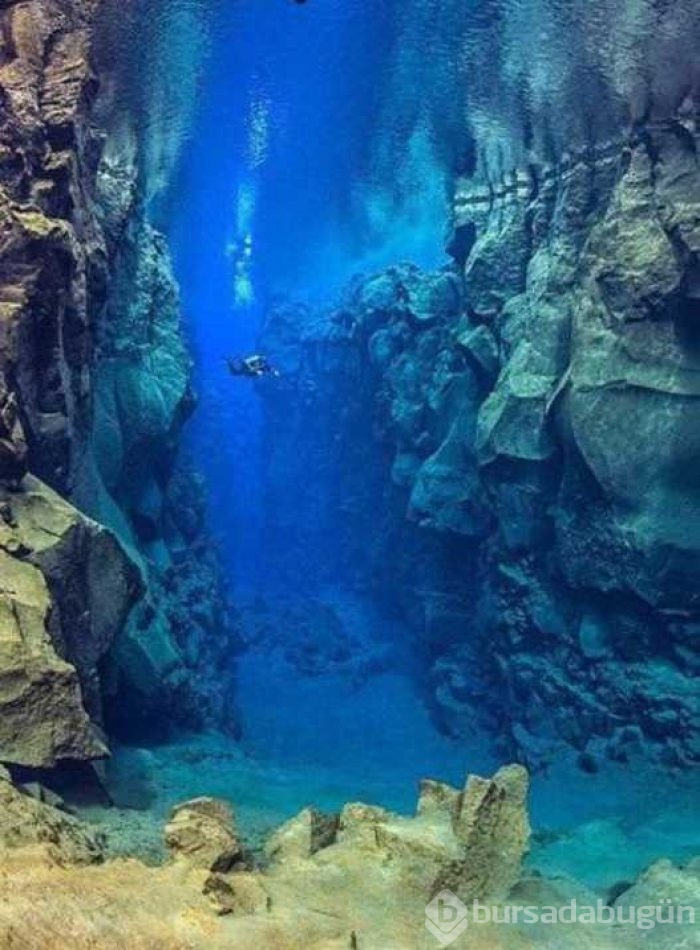 Günün en çok paylaşılan fotoğrafları
