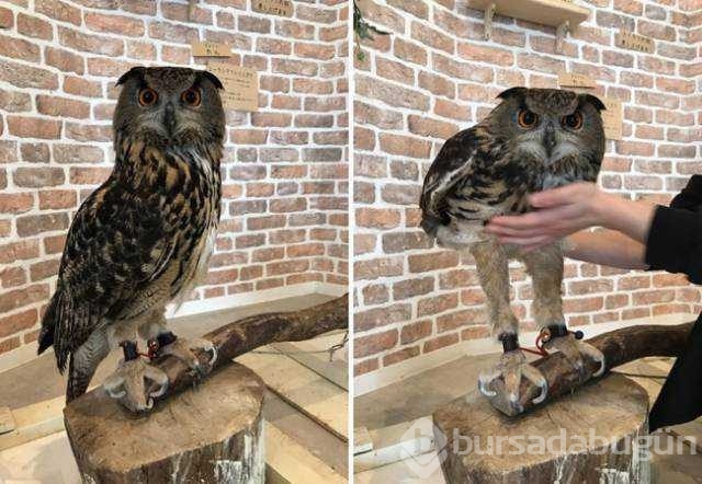 Günün en çok paylaşılan fotoğrafları
