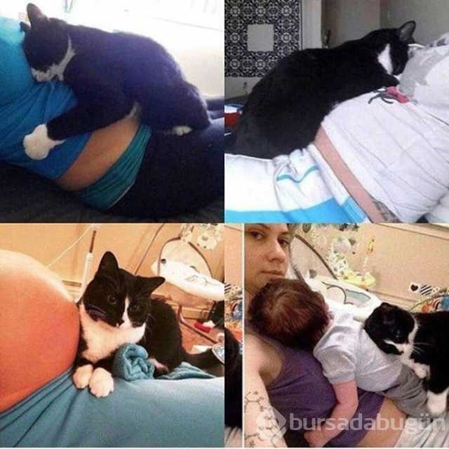 Günün en çok paylaşılan fotoğrafları
