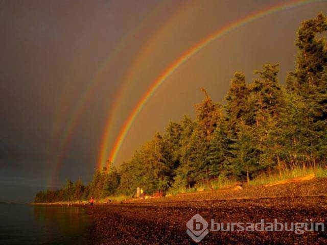 Günün en çok paylaşılan fotoğrafları

