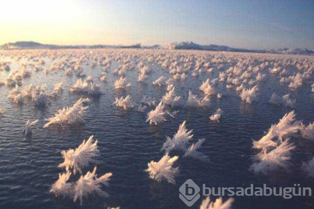 Günün en çok paylaşılan fotoğrafları
