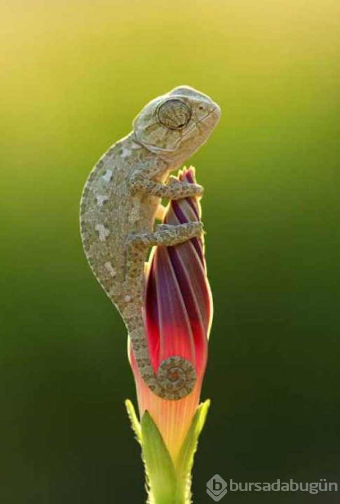 Günün en çok paylaşılan fotoğrafları
