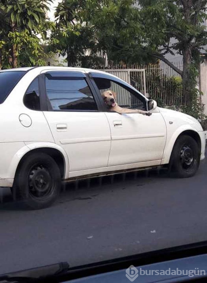 Günün en çok paylaşılan fotoğrafları
