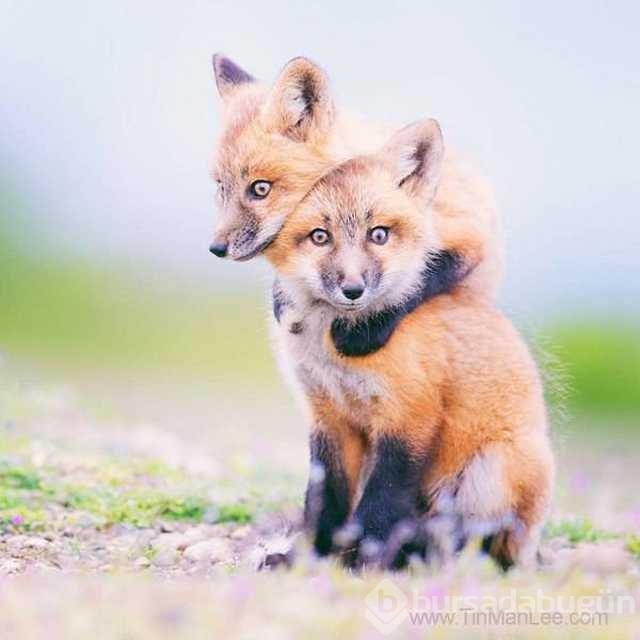 Günün en çok paylaşılan fotoğrafları

